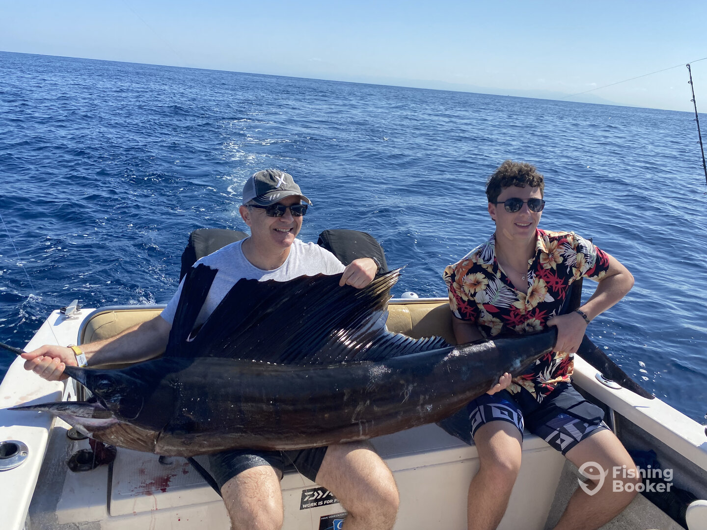 Puerto Vallarta Report Photo 0