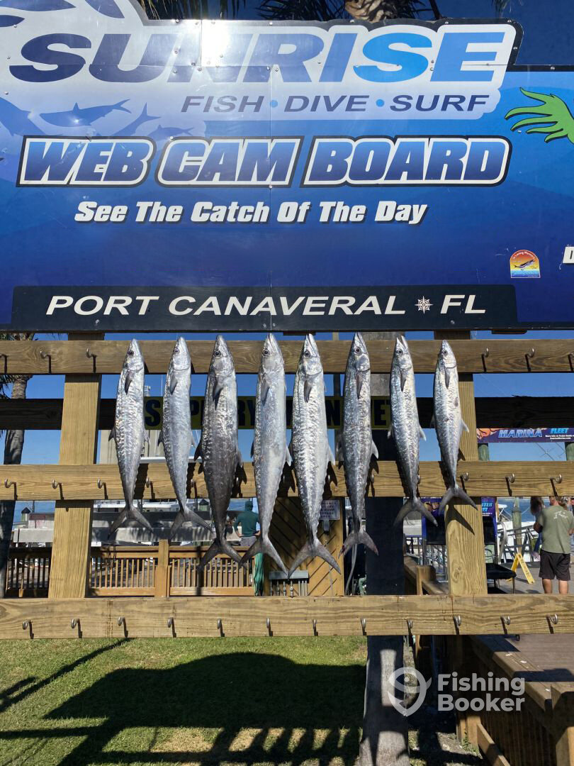 Port Canaveral Report Photo 0