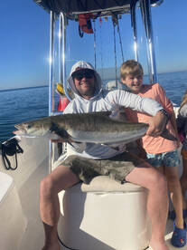 Sarasota Report Photo 2