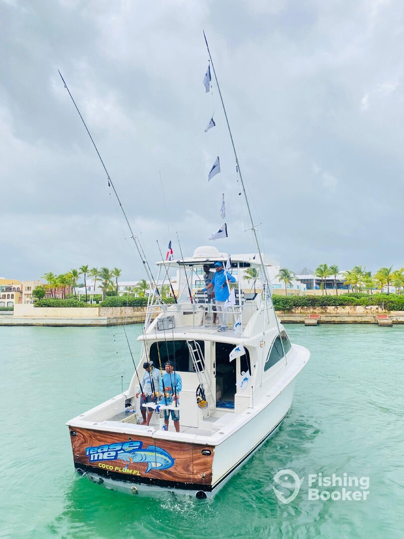 Punta Cana Report Photo 0