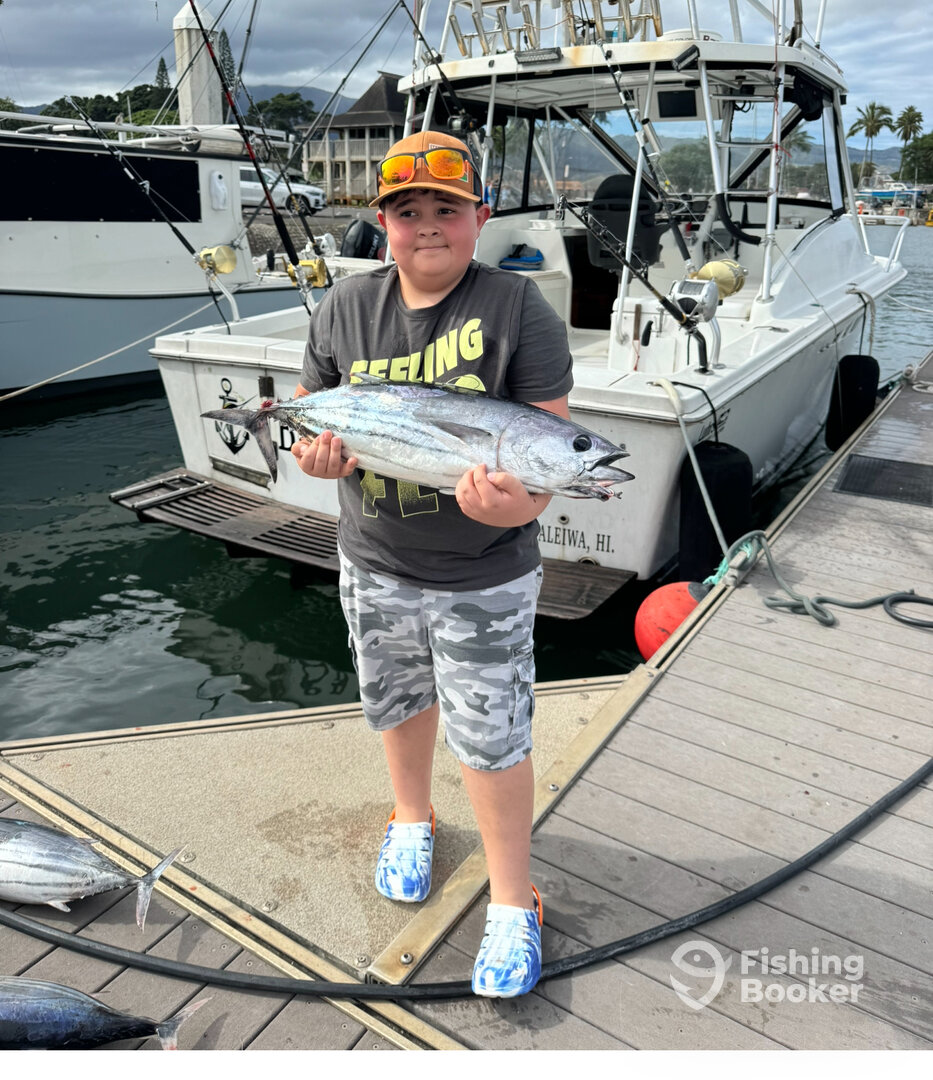 Haleiwa Report Photo 0