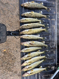 Alexandria Report Photo 2