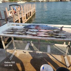 West Palm Beach Report Photo 2