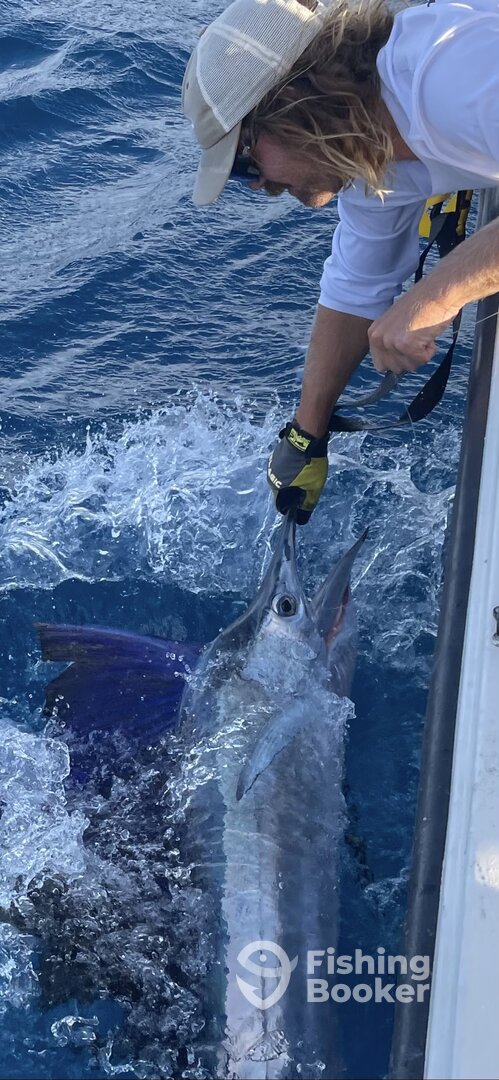 Boynton Beach Report Photo 0