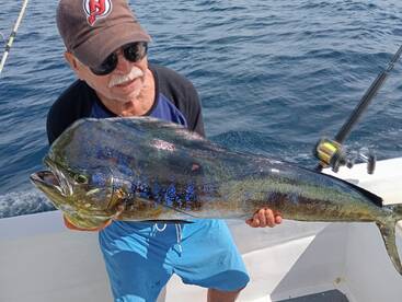 Mahi mahi