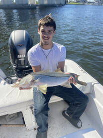 Orlando Report Photo 1