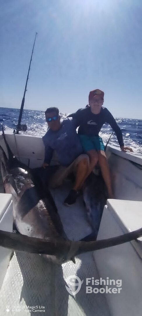 San Jose del Cabo Report Photo 0