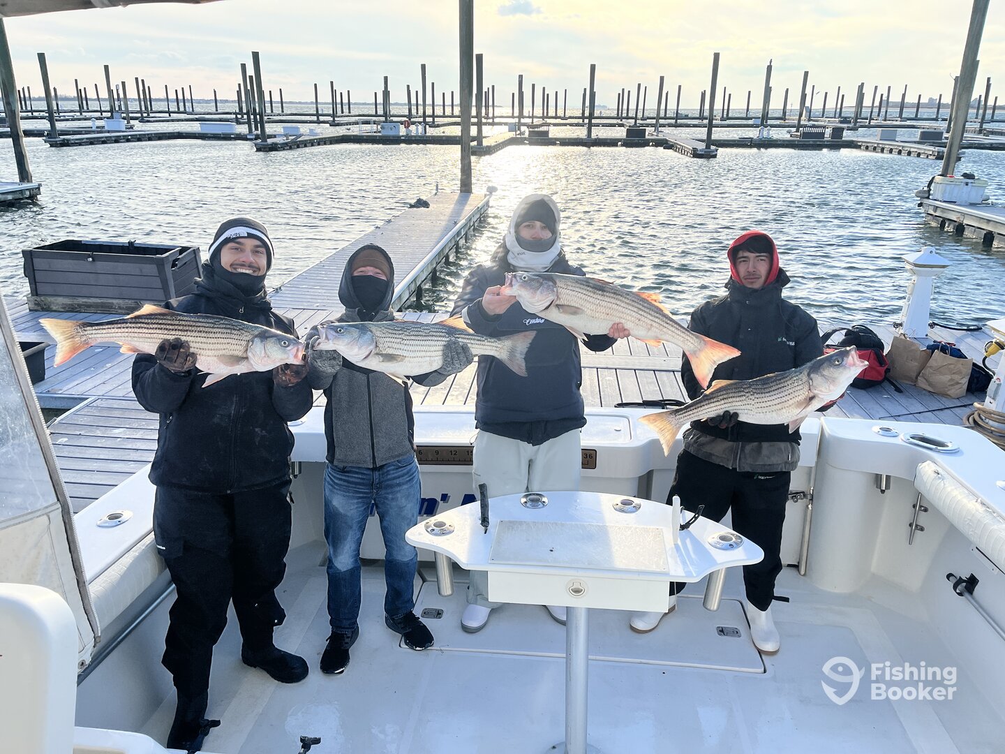 New York City Report Photo 0