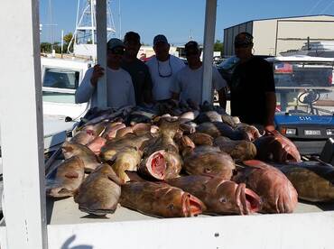 Grouper Season is Open