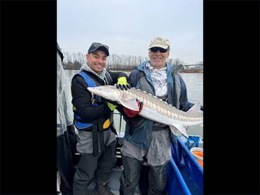 Brandon had always wanted to do this.