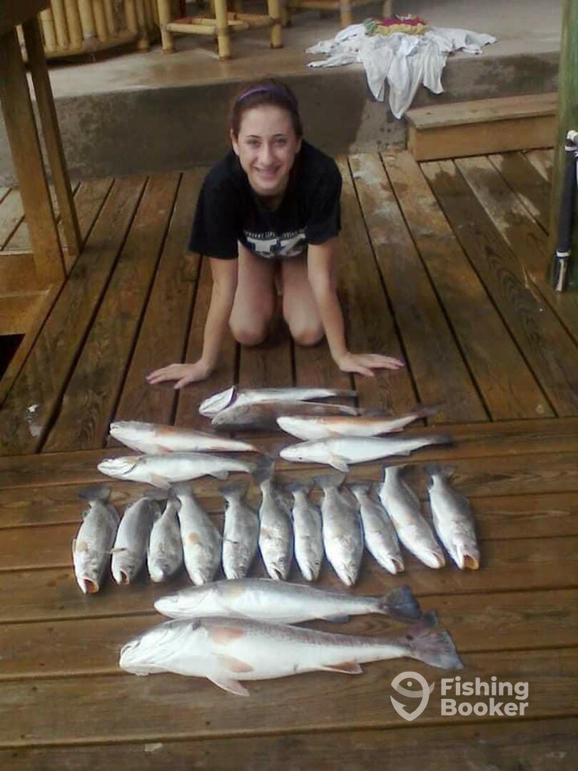 Houston Report Photo 0