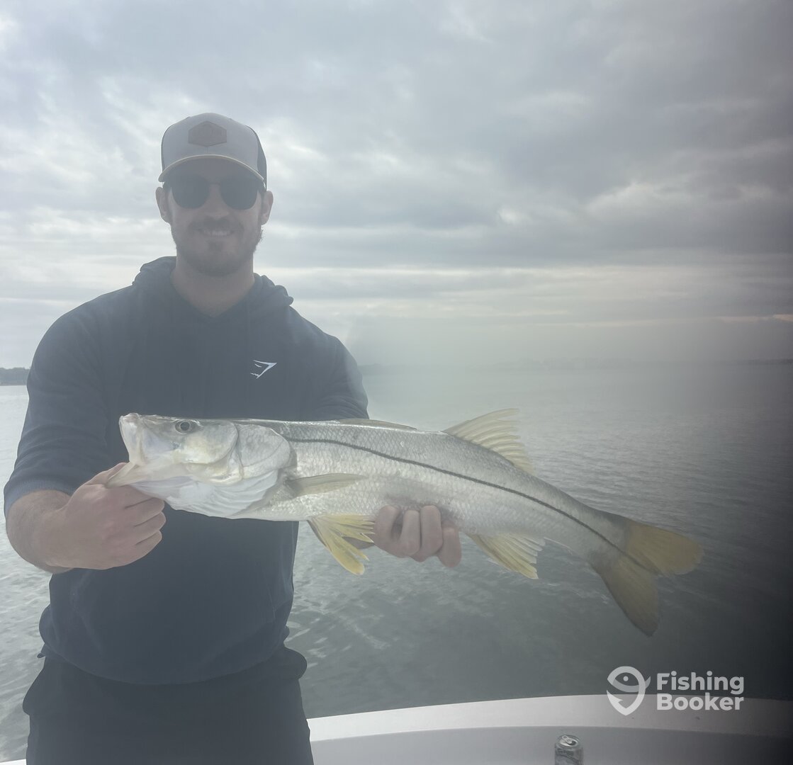 Belleair Bluffs Report Photo 0