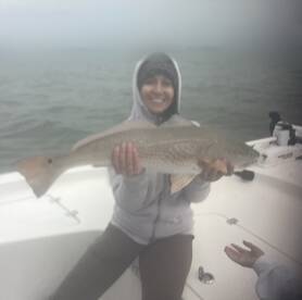 Belleair Bluffs Report Photo 1