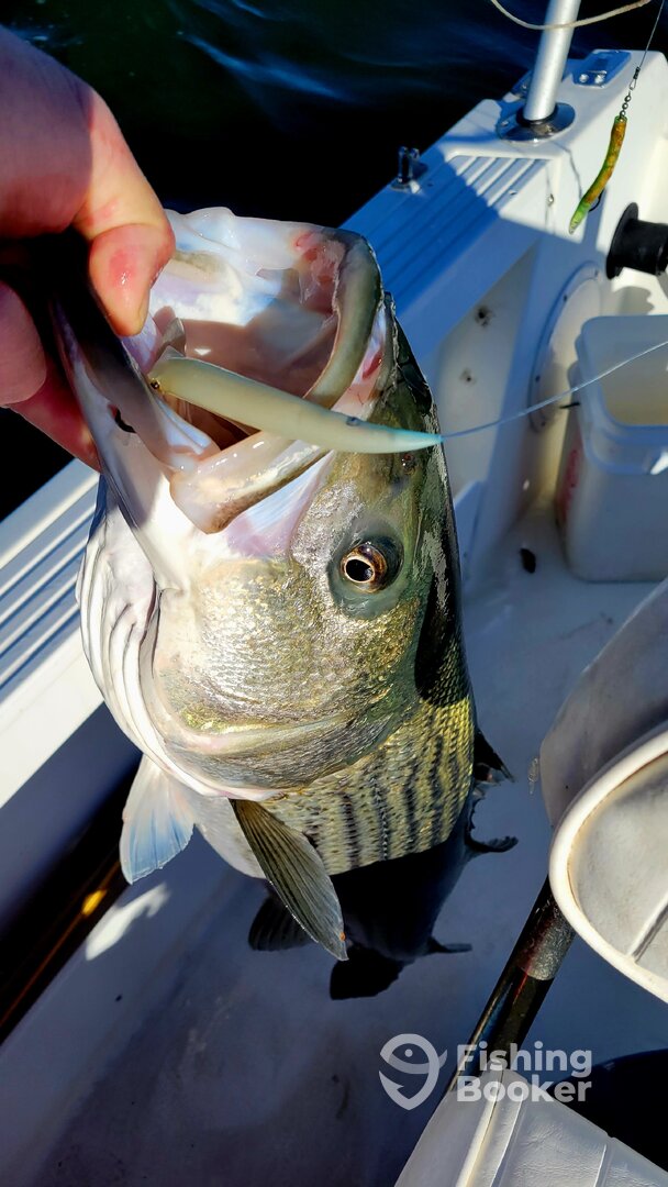 Atlantic City Report Photo 0