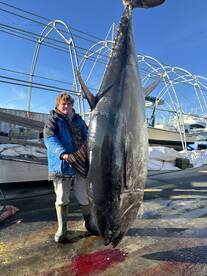 Blue Fin Tuna bite is on fire