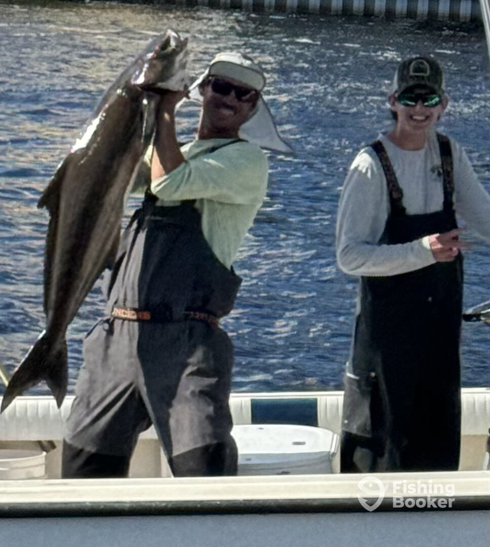 Tampa Report Photo 0