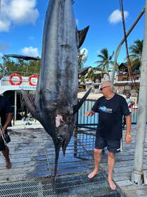 Grand Baie Report Photo 1