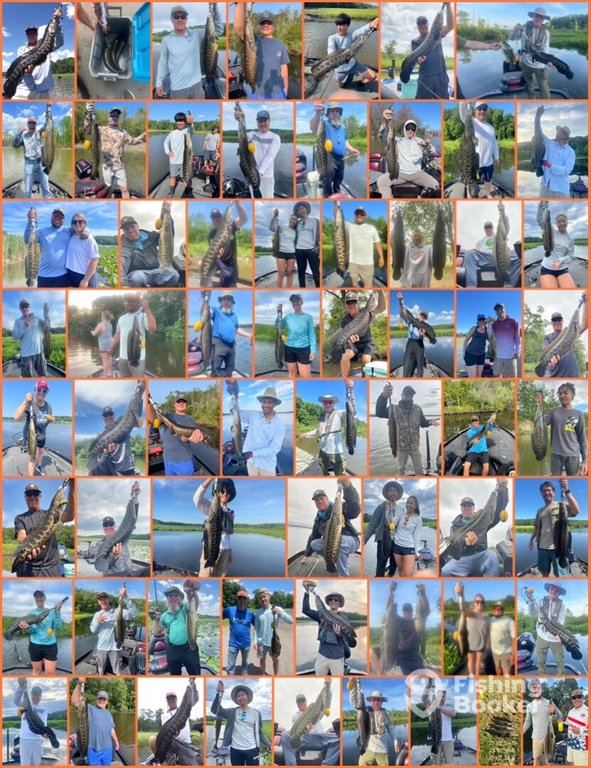 Woodbridge Report Photo 0