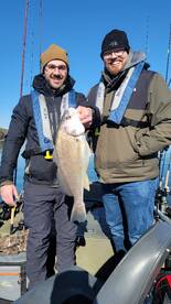 Harrison Report Photo 1