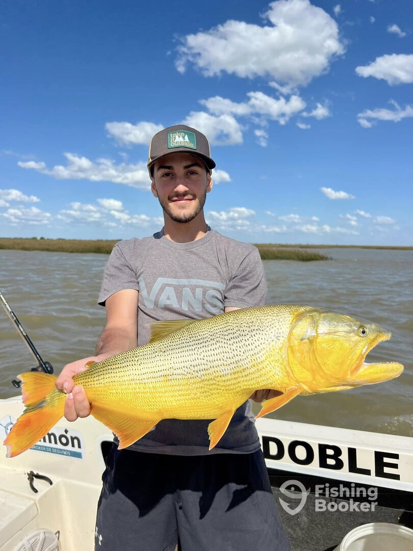 Buenos Aires Report Photo 0