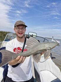 Golden Season in the Río de la Plata: An