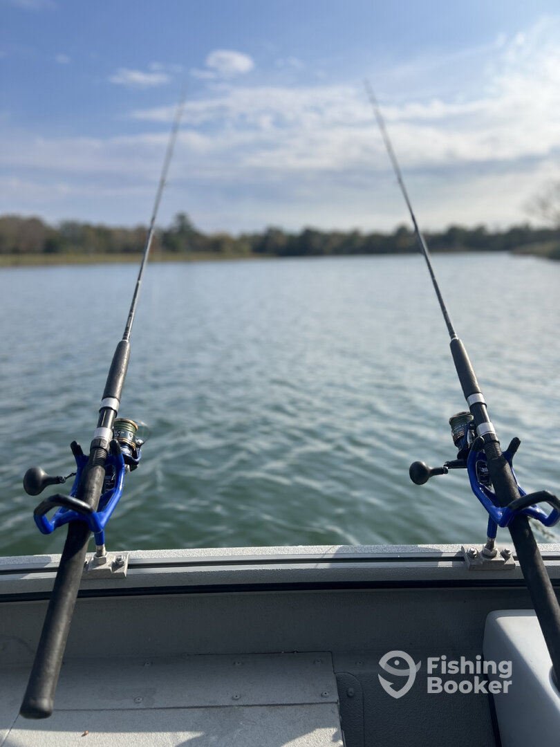 Bastrop Report Photo 0