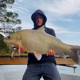 Bastrop Report Photo 1