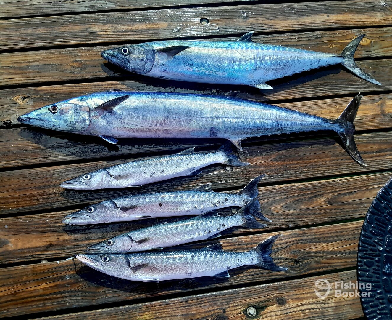 Oranjestad Report Photo 0