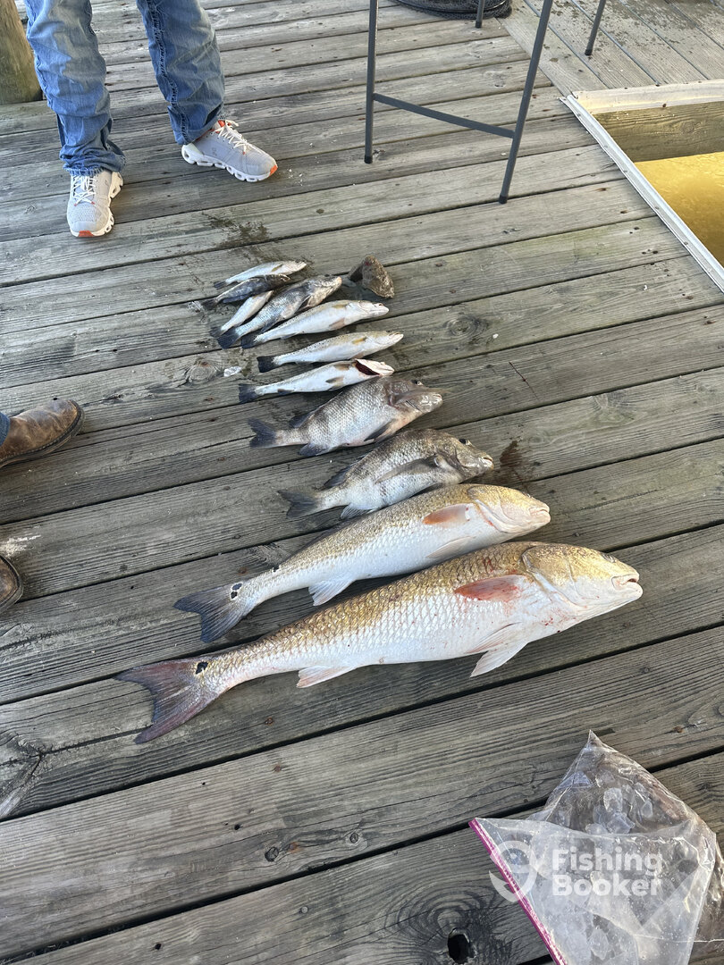 Houston Report Photo 0