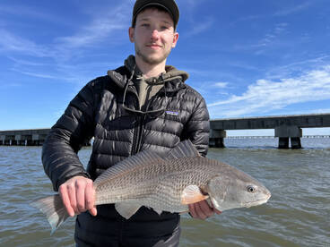 Excellent fishing in December!
