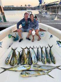 Mahi Mahi adventure