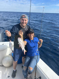 Mutton Snapper and lane snapper