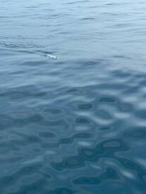 Tangalle Report Photo 1