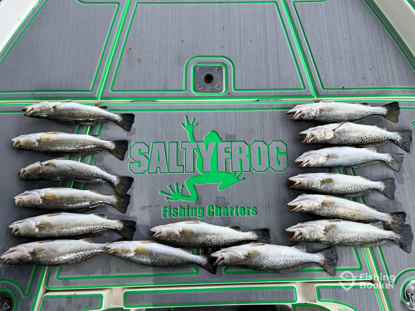 St. Bernard Report Photo 0