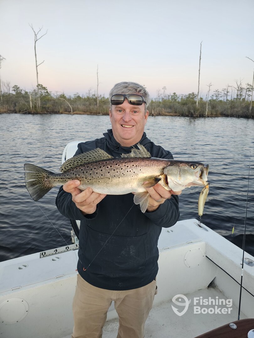 Manteo Report Photo 0