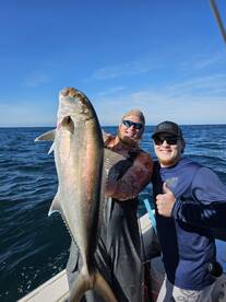 Clearwater Report Photo 1