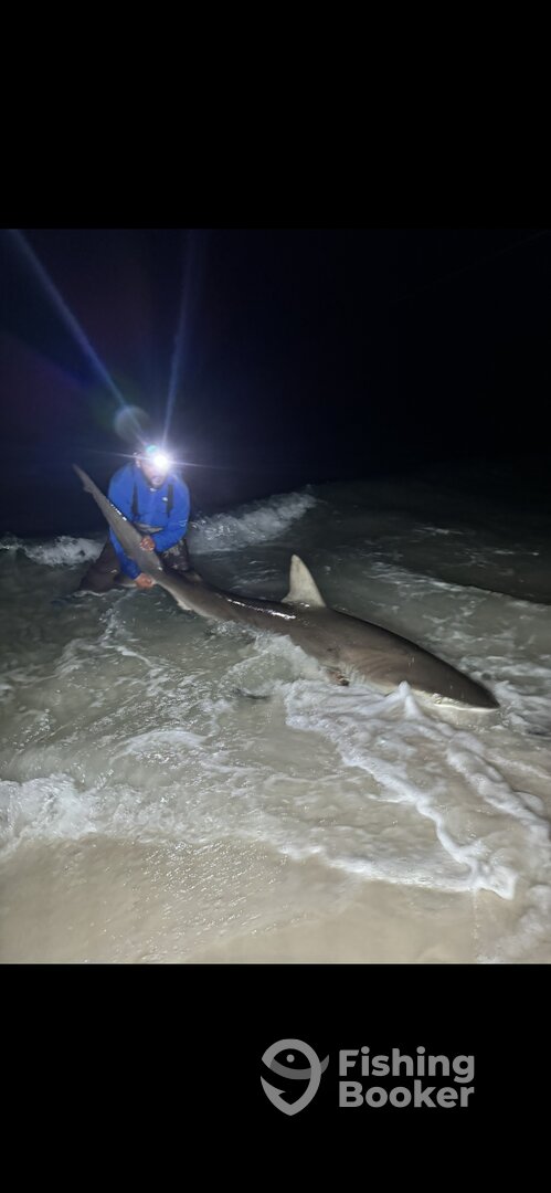 Destin Report Photo 0