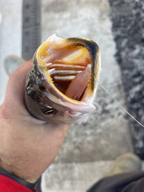 River Road Report Photo 2