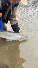 The Niagara river and surrounding area i