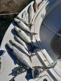 Marathon Report Photo 2