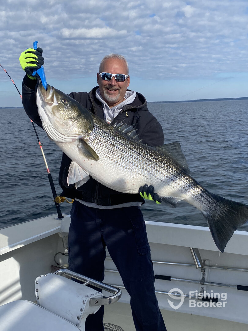 Reedville Report Photo 0