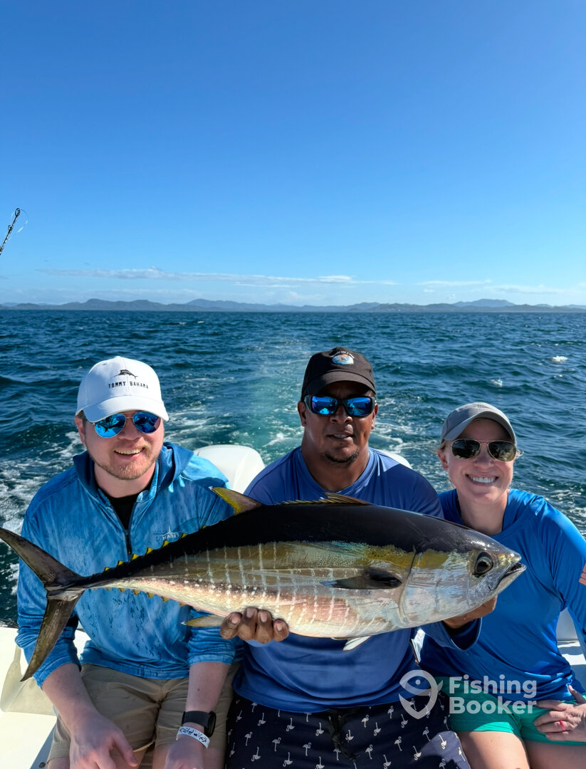 Tamarindo Report Photo 0