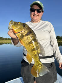 Carolina Report Photo 1