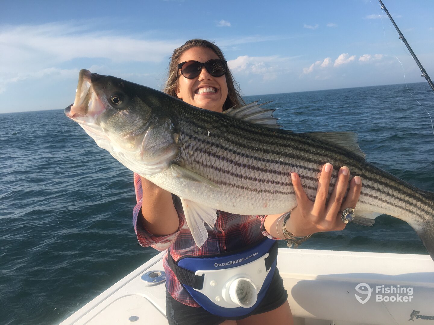 Montauk Report Photo 0