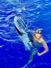 Paihia Report Photo 1