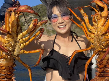 Paihia Report Photo 2