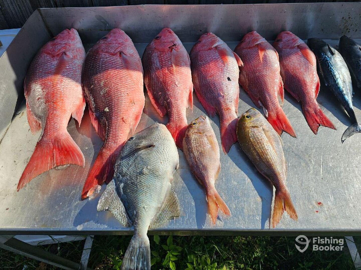 Panama City Beach Report Photo 0