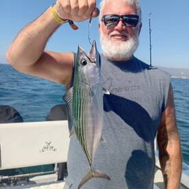 Puerto Vallarta Report Photo 2