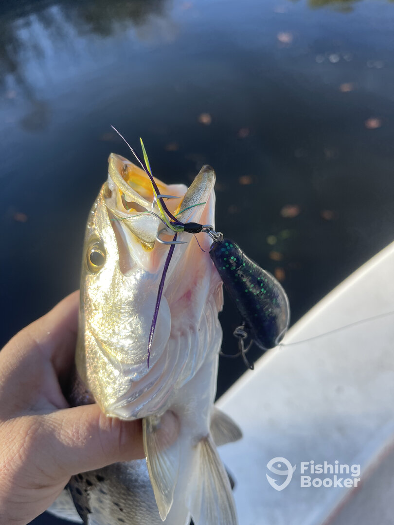 River Road Report Photo 0