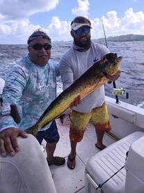 Marlin and Mahi Mahi
